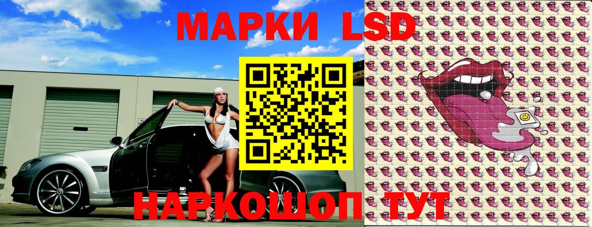 дарнет шоп  Марки 25I-NBOMe  Вход с VPN  Ковров  Марки N-bome 1,8мг  Марки N-bome 1,8мг 
