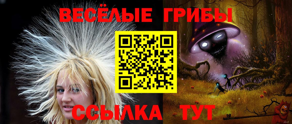 Галлюциногенные грибы GOLDEN TEACHER Ковров