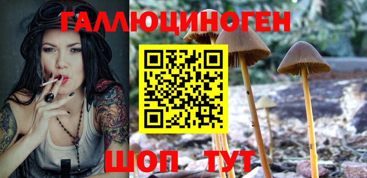Ковров  Псилоцибиновые грибы GOLDEN TEACHER  Вход с VPN 